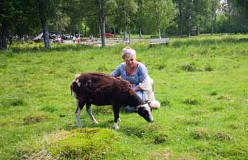 Midsommar på Bruket 2019